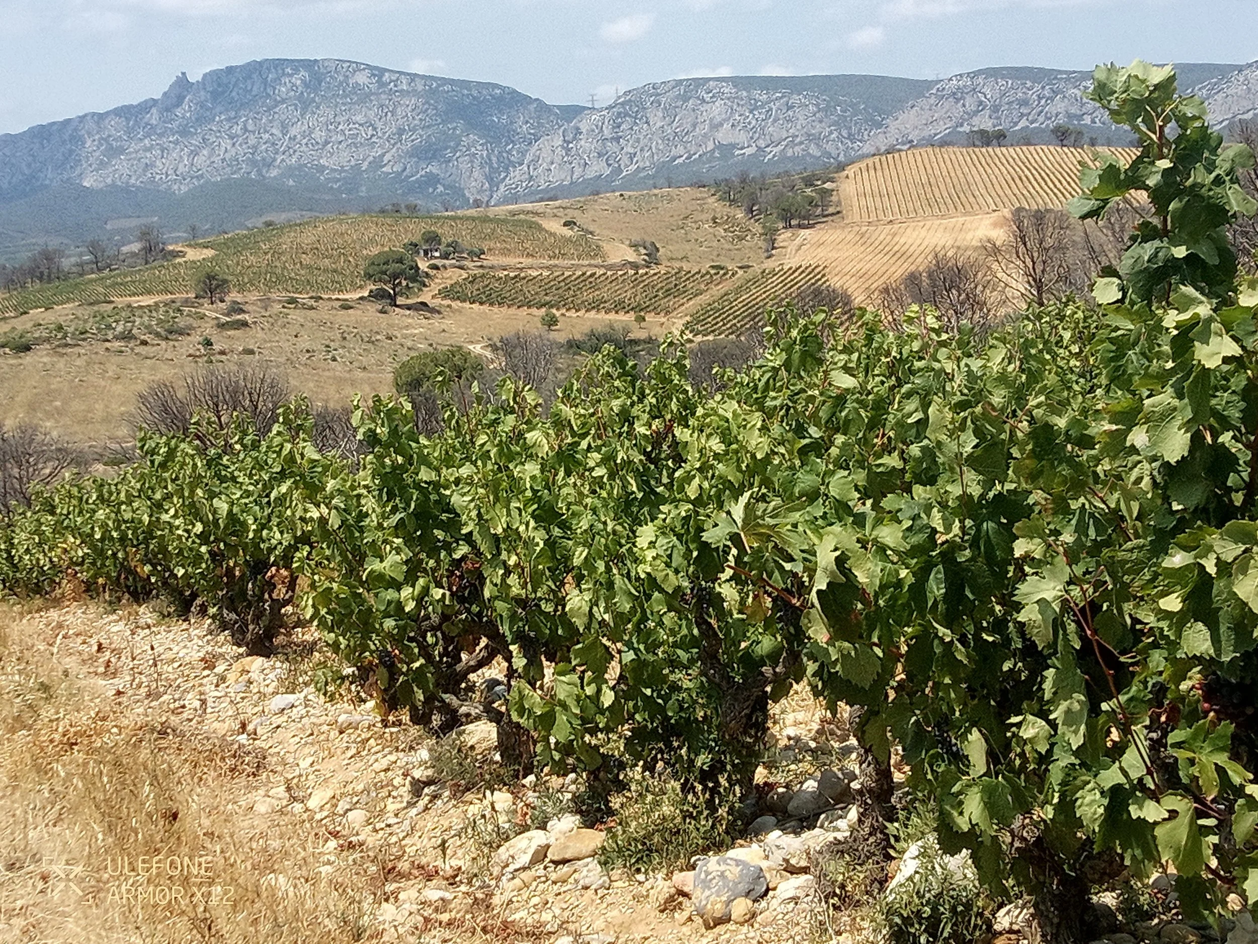 2024-08-07 13.27.49.jpg