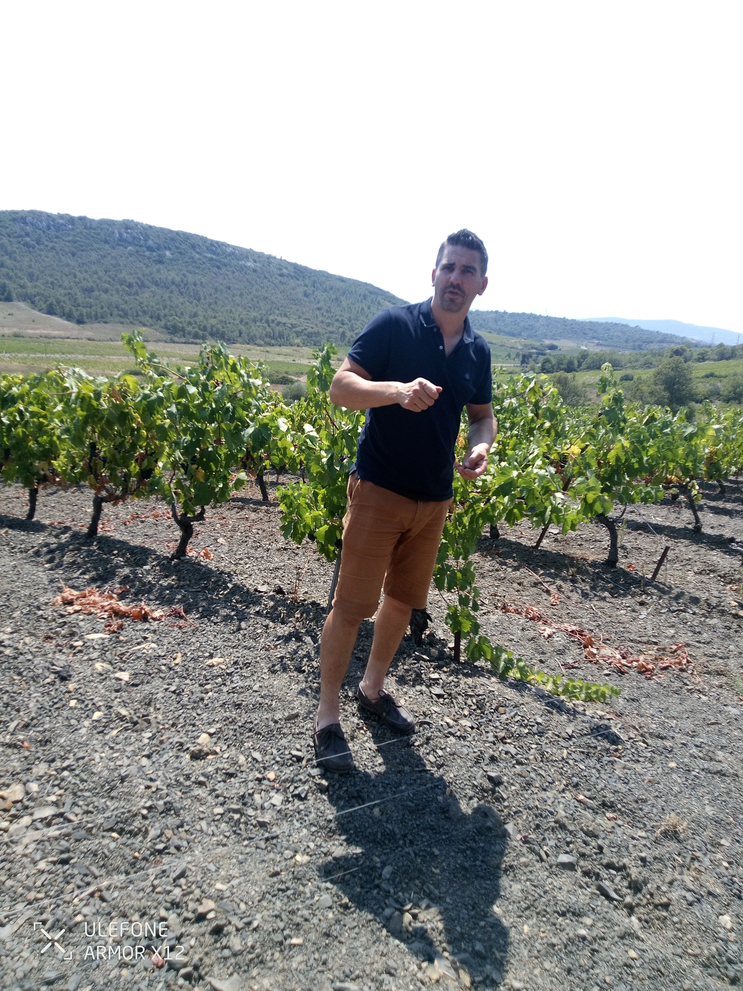 2024-08-07 13.13.21.jpg