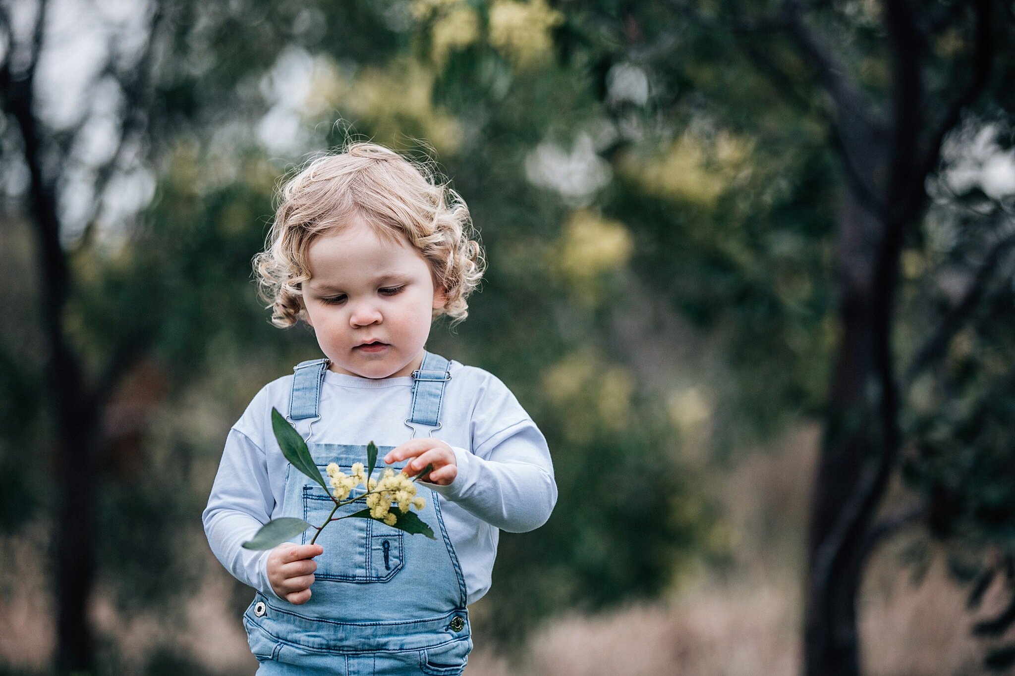 boy picking flowers Leopold.jpg