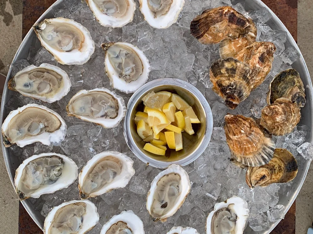Little Ram Oyster Co News — LITTLE RAM OYSTER COMPANY