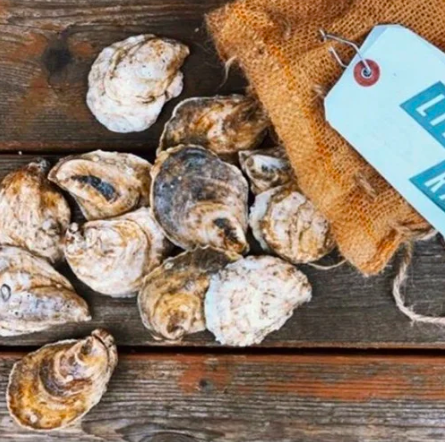 FARMSTAND OPEN EVERY DAY