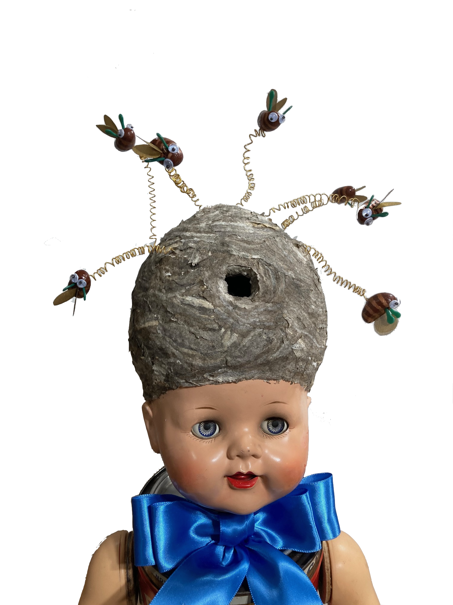 Buzzed head closeup.png