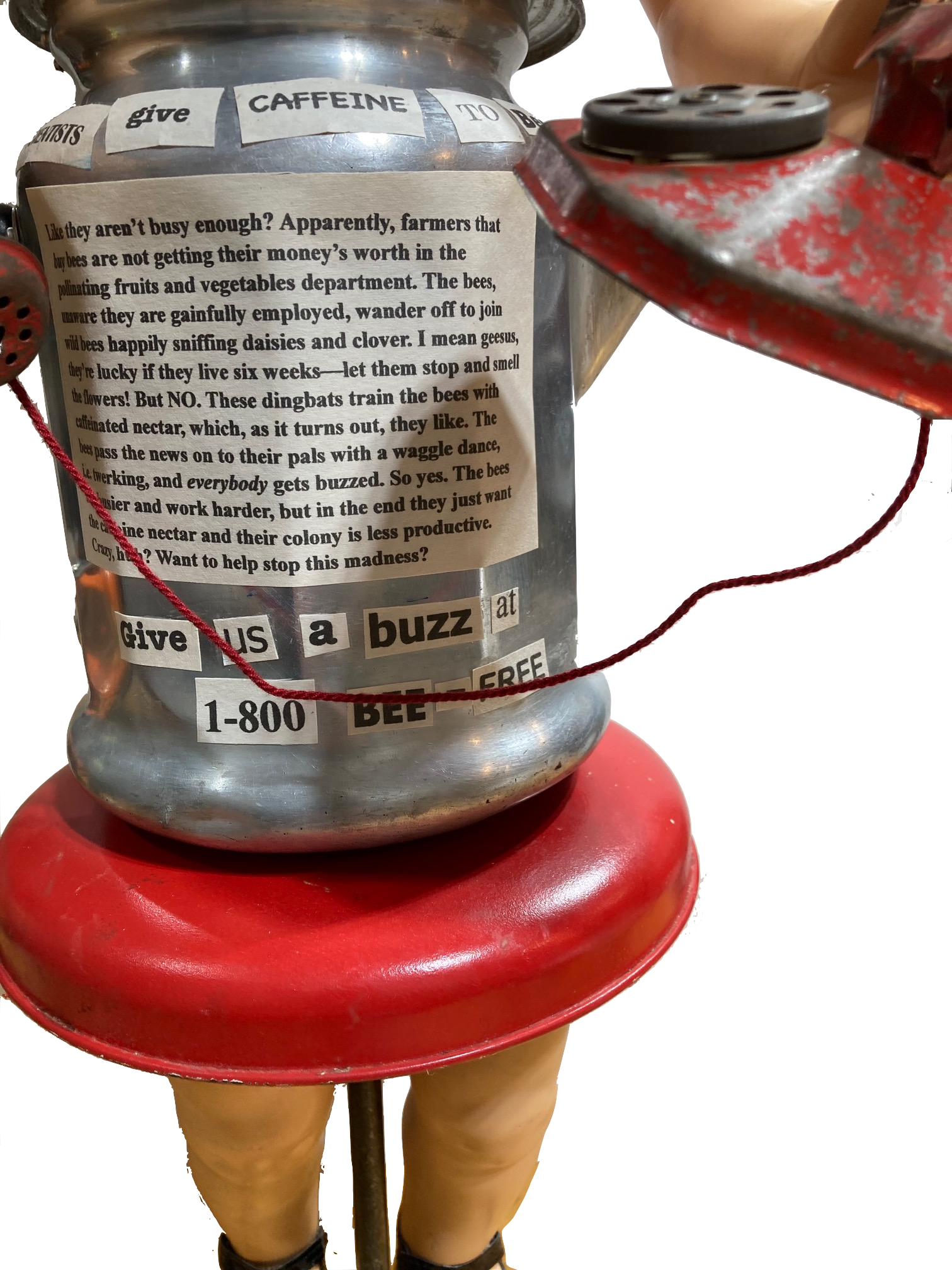 Buzzed close-up.png