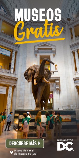 1dc_hispanic_ads_translation_v2_300x600 2.jpg