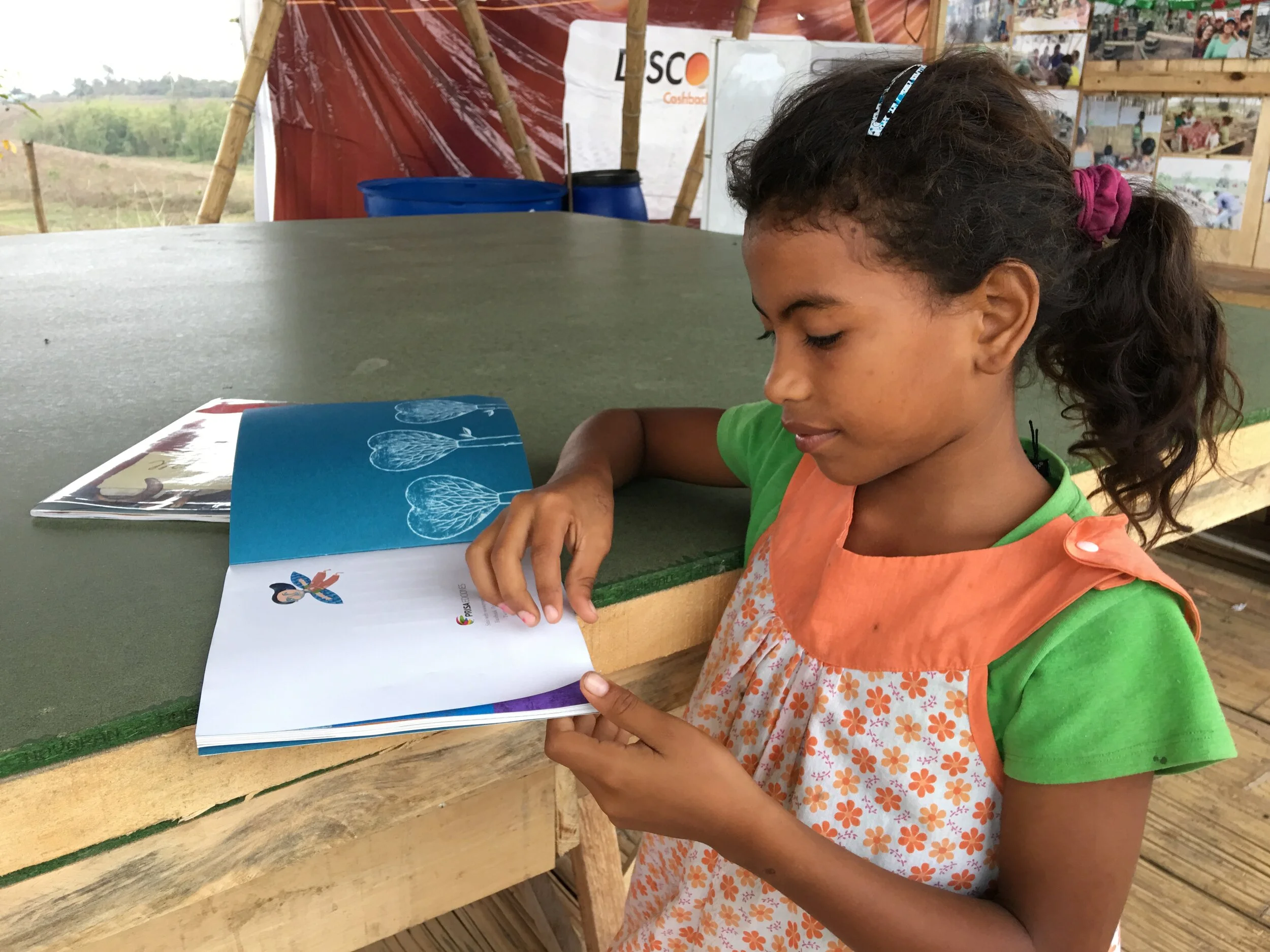 Earthquake Zones 2016