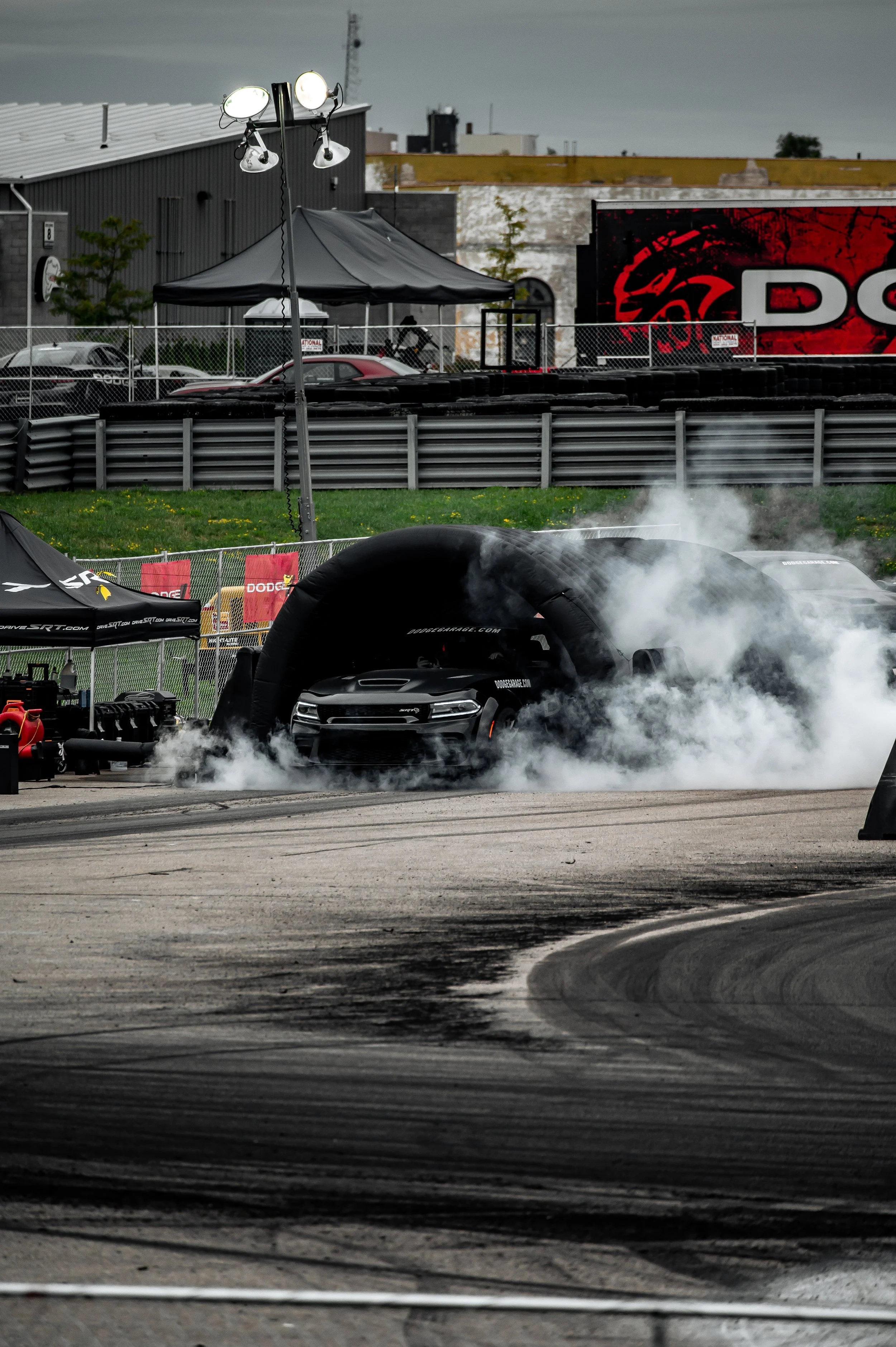 Roadkill-7.jpg