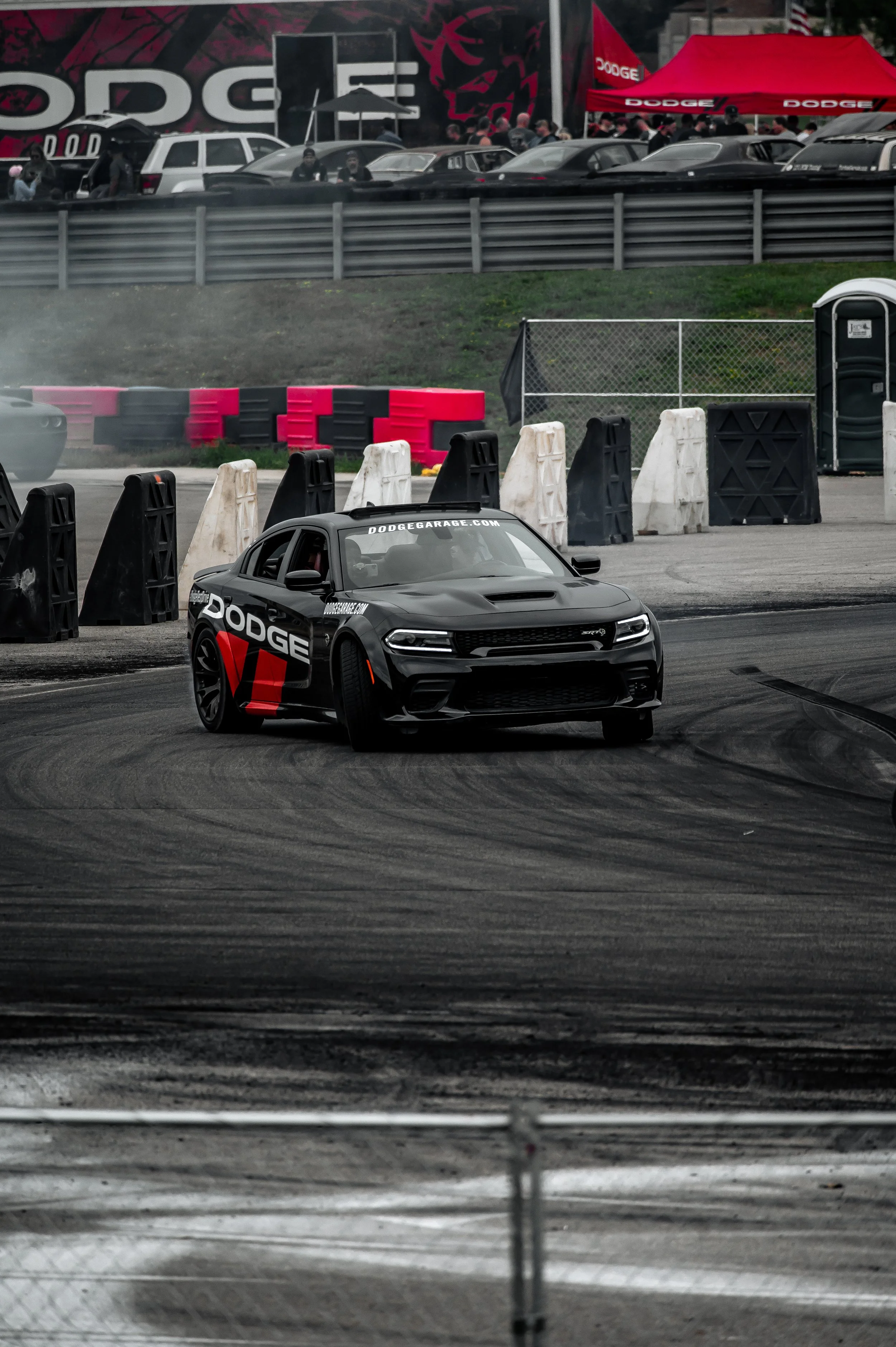 Roadkill-9.jpg
