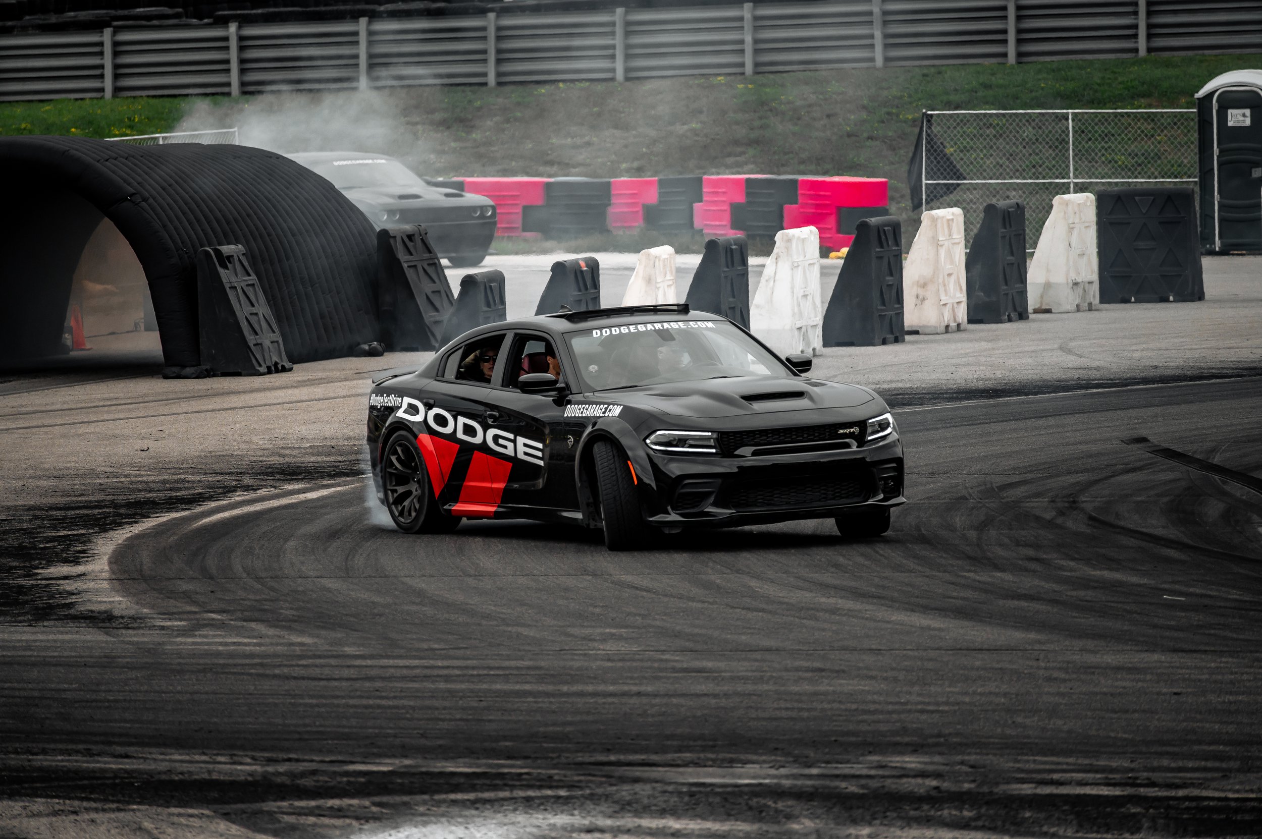 Roadkill-11.jpg