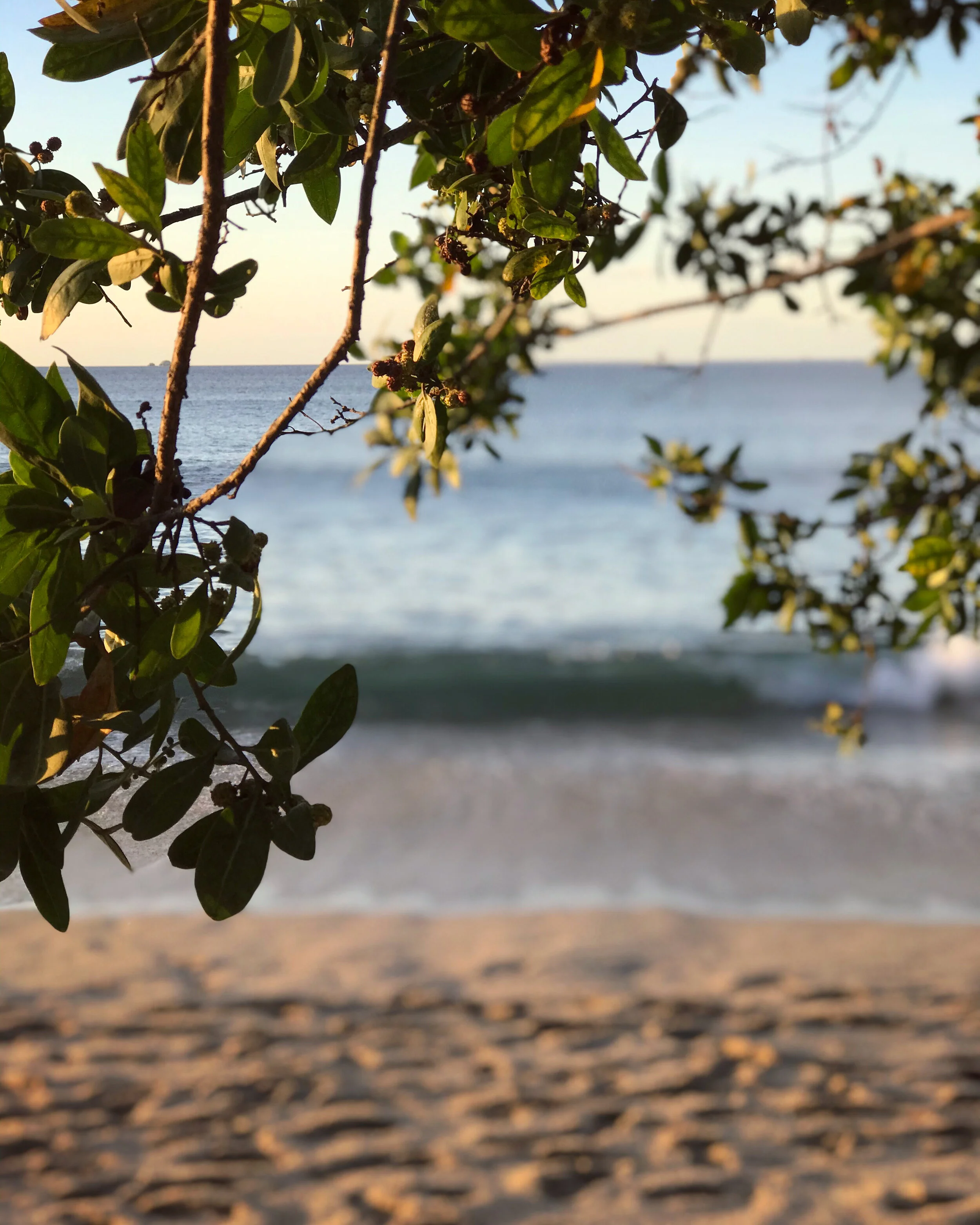 Eco-conscious visit to Costa Rica