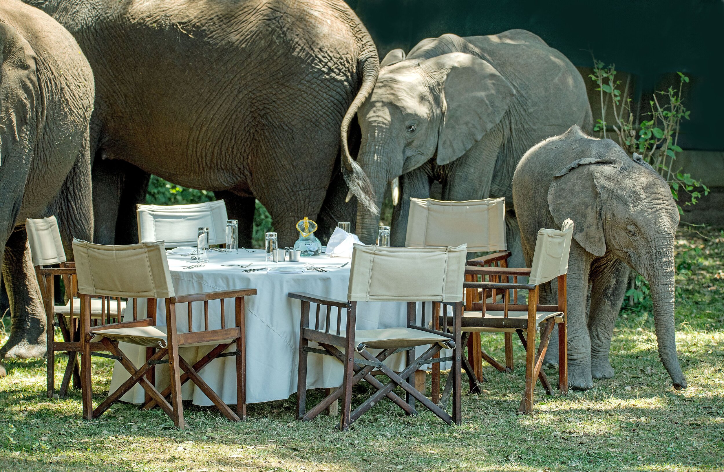 Luxury accomodation safari.jpg