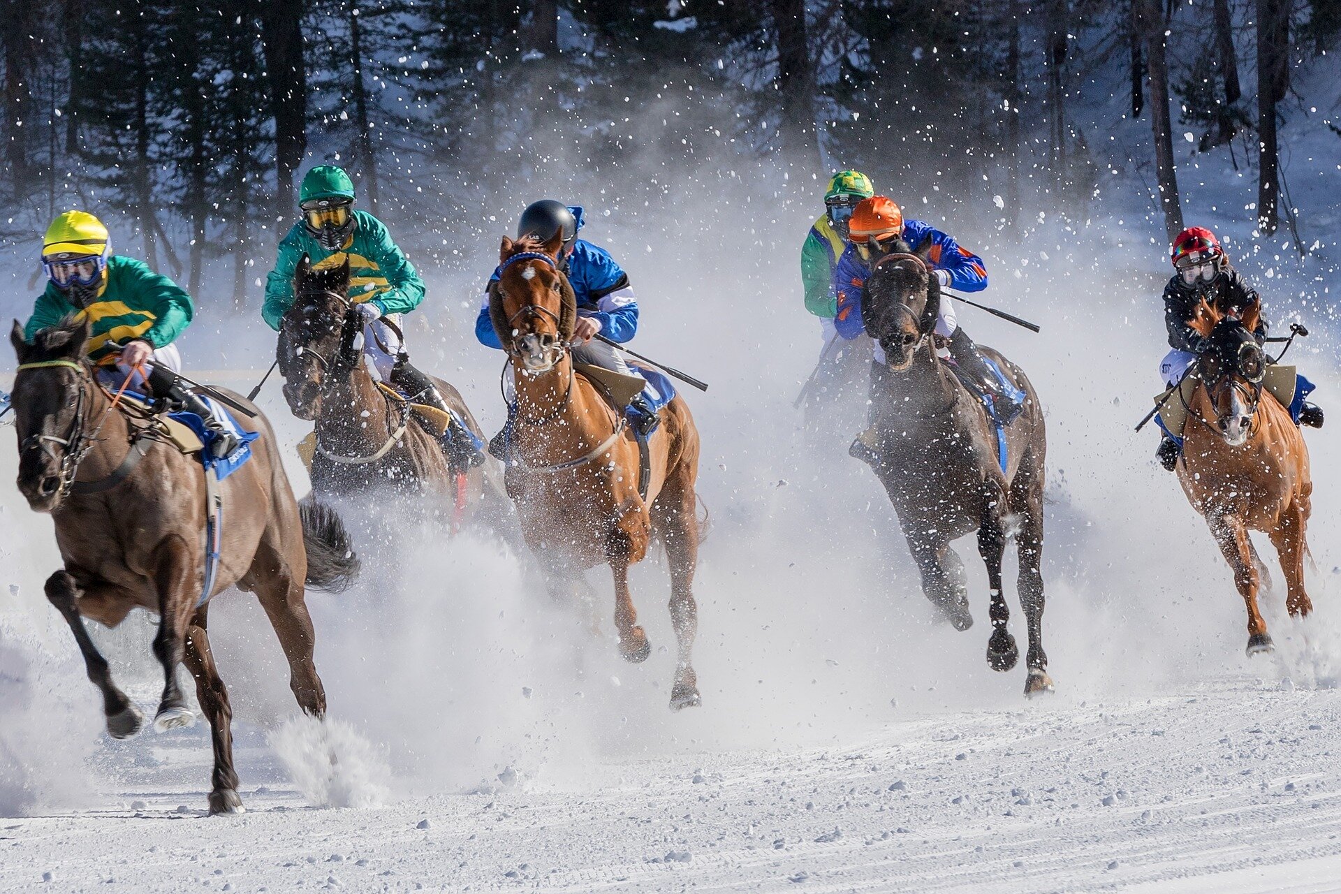 Horseriding through the snow.jpg