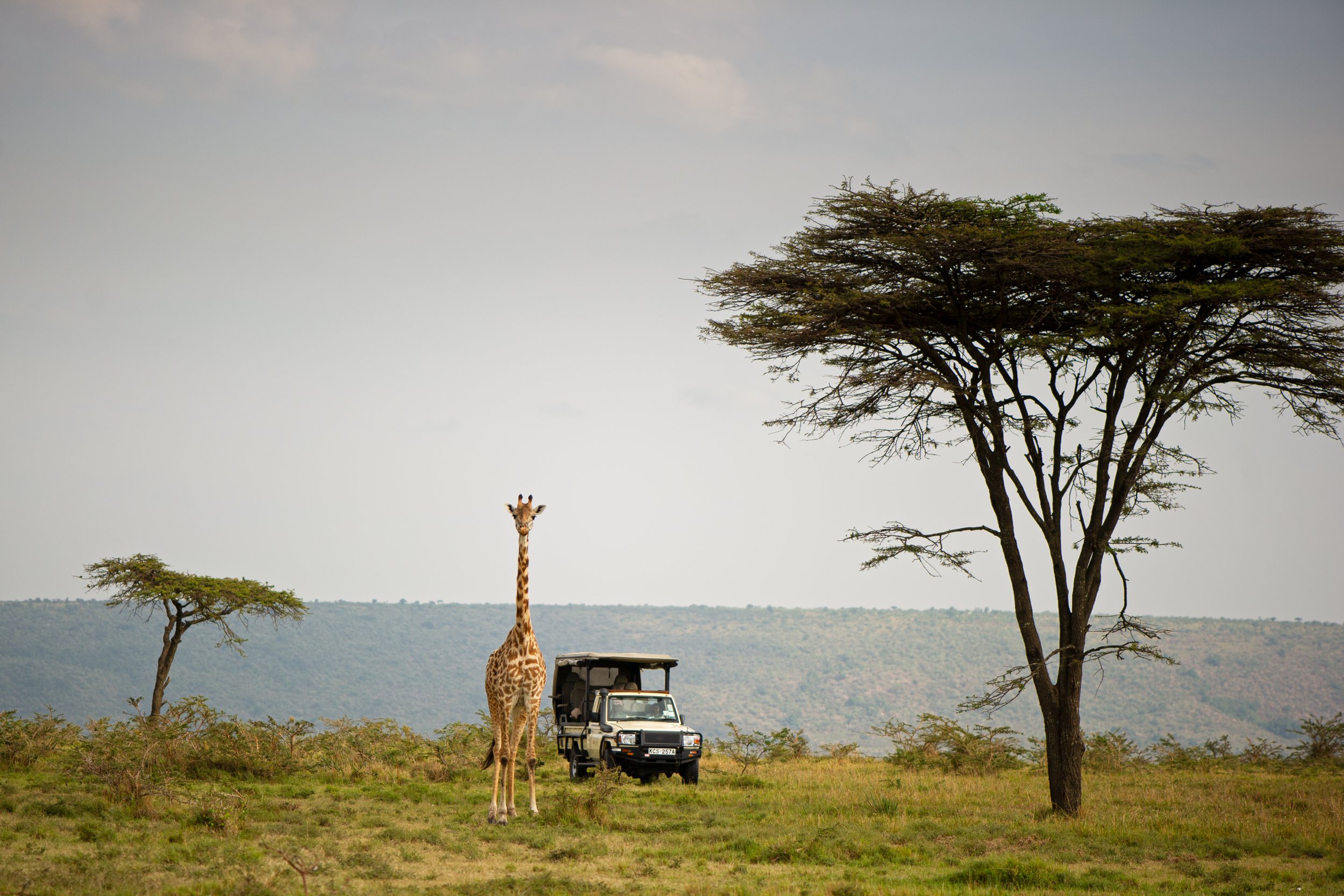 KAREN BLIXEN CAMP, KENYA