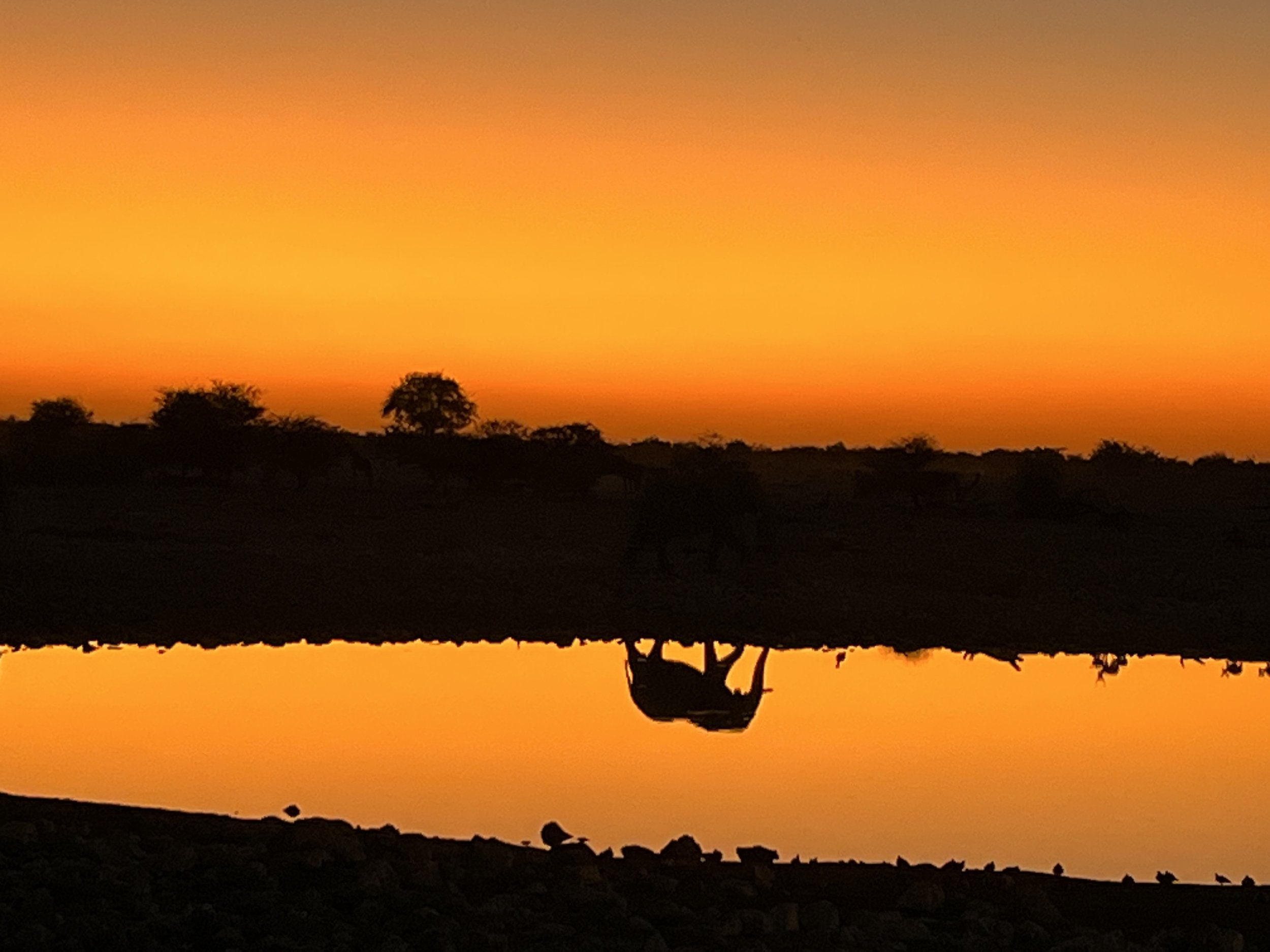 travel-matters-namibia (5).jpg