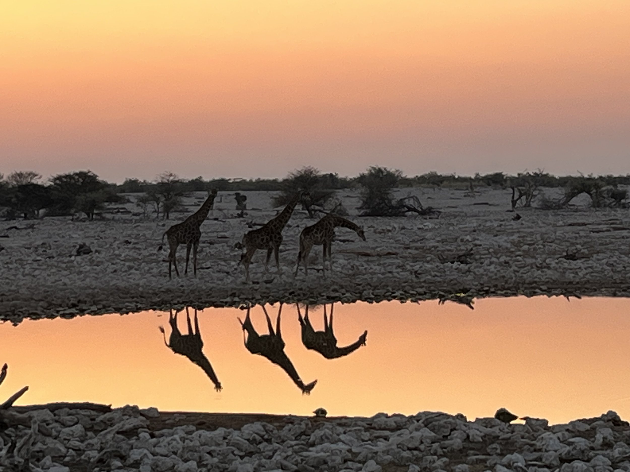 travel-matters-namibia (6).jpg