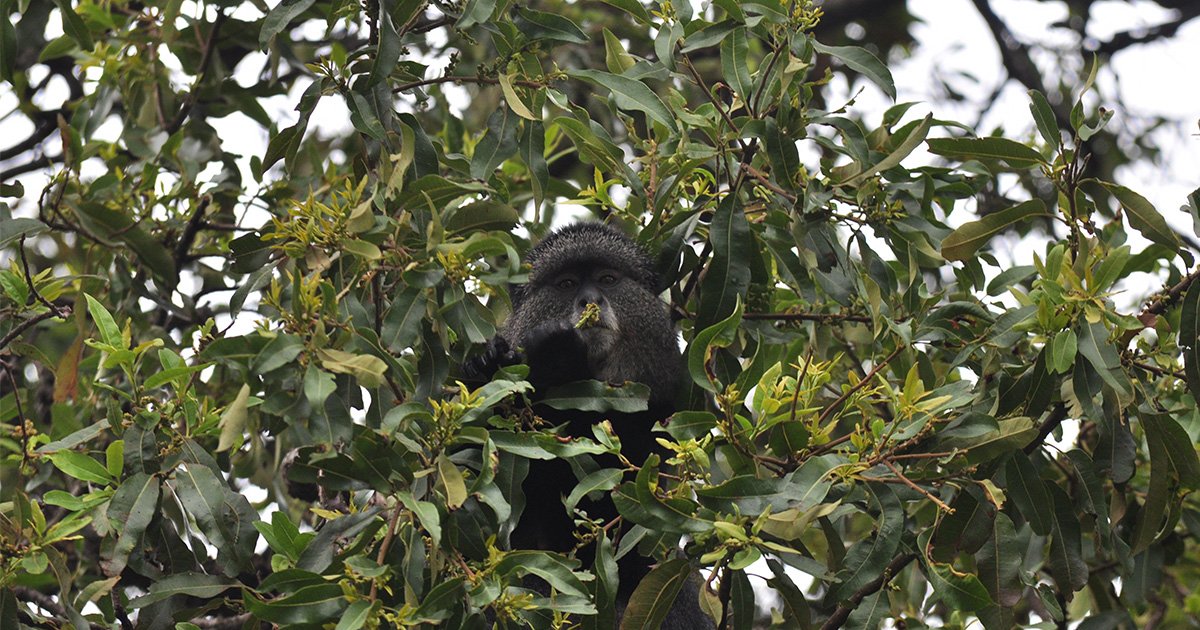 travel-matters-uganda-blog (34).jpg