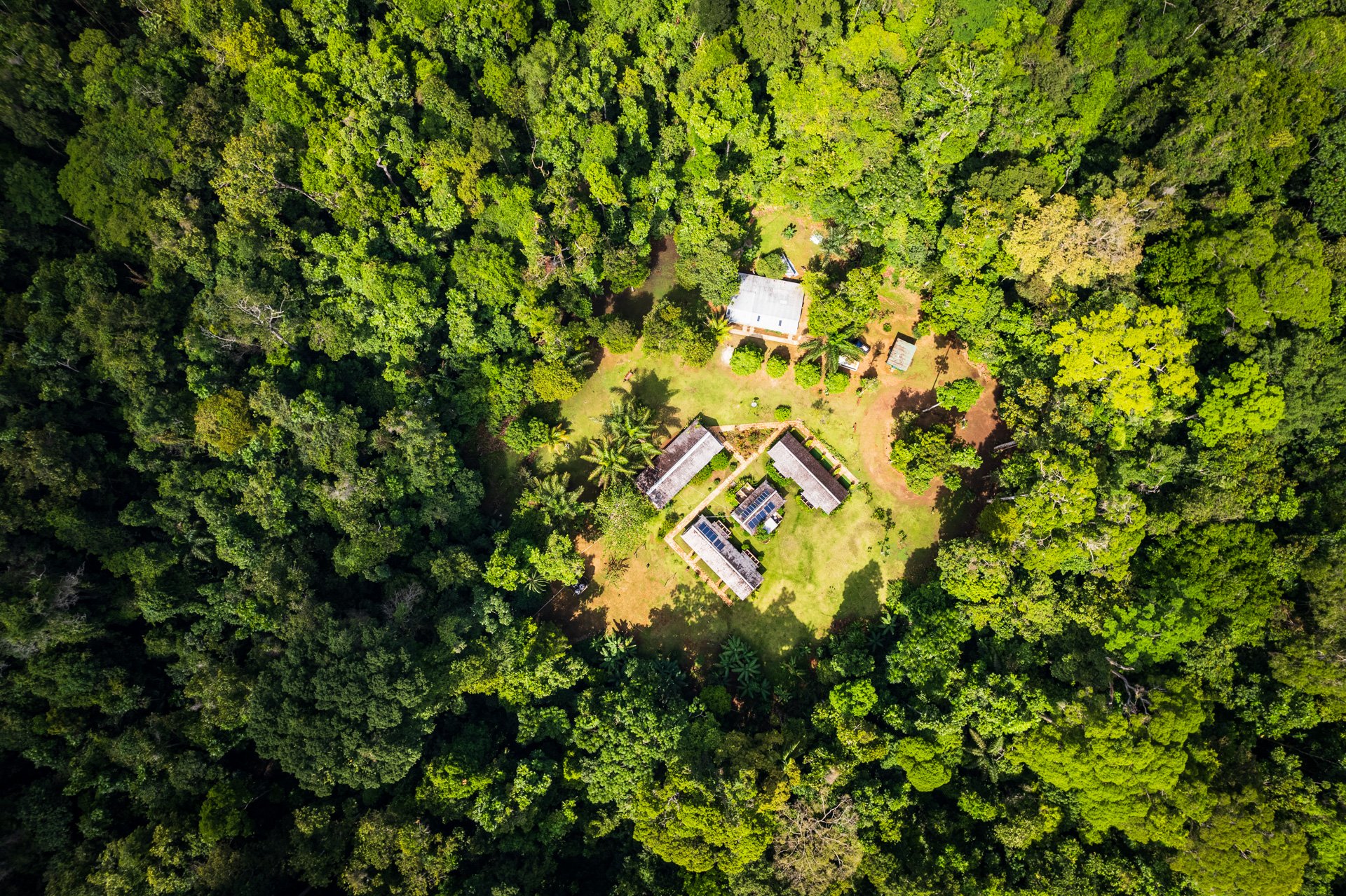 Aerial view Atta Rainforest Lodge