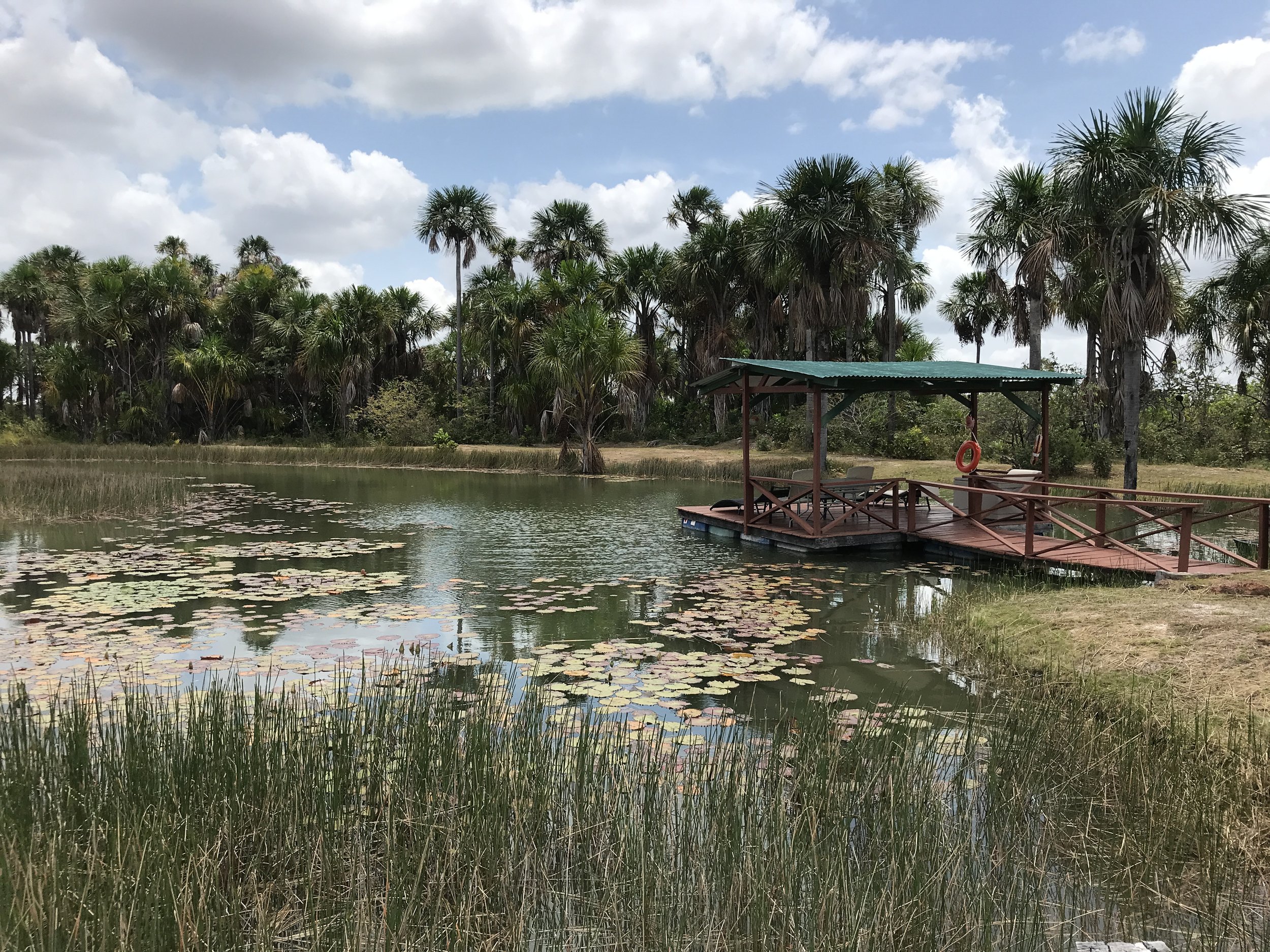 The Swimming Pond at Waikin Ranch