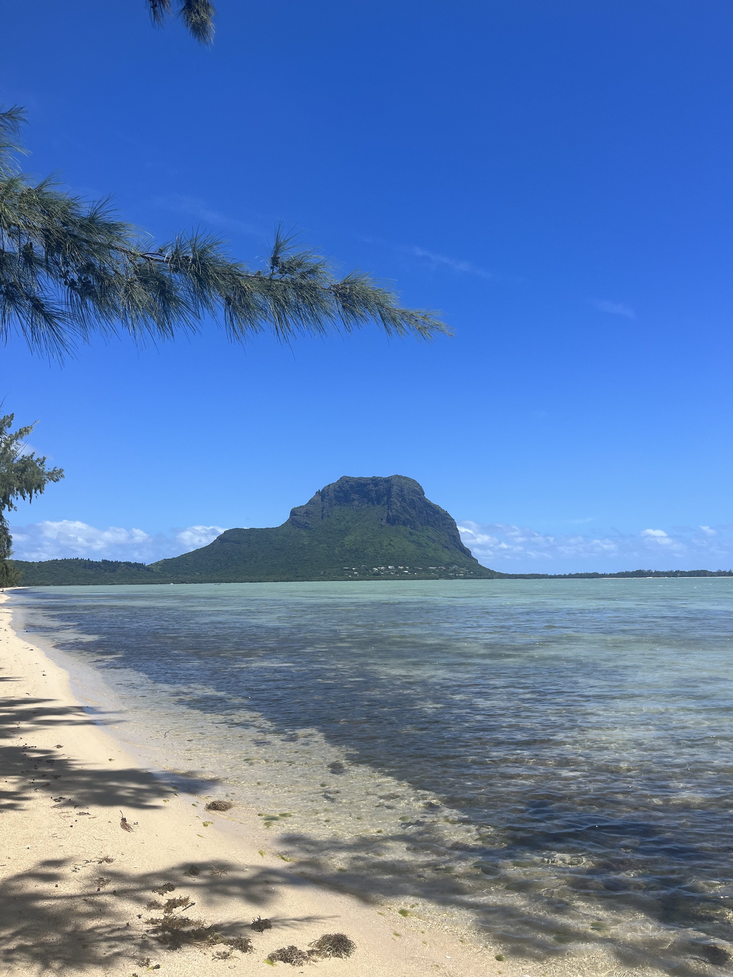 Travel-Matters-Mauritius-1 (5).jpeg