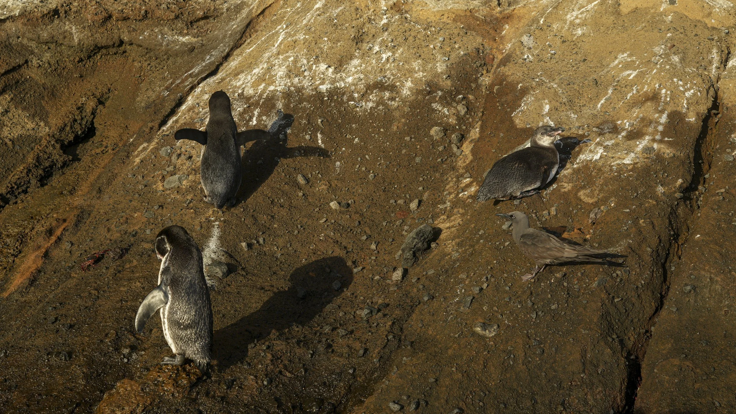 CALETA TAGUS (16).JPG