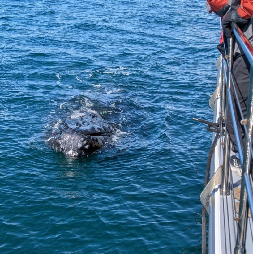 Screenshot 2026-04-13 215339.png