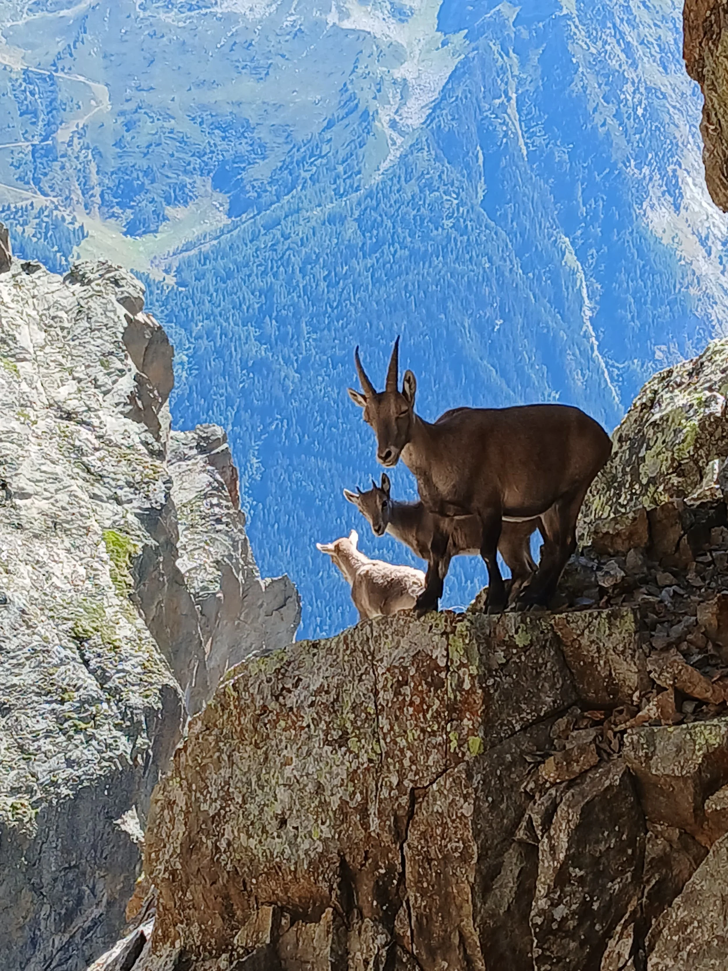 Why the French Alps are amazing in Summer!