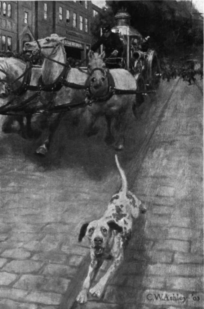 CWA Illustration - “Jack the Fire Dog” Image A