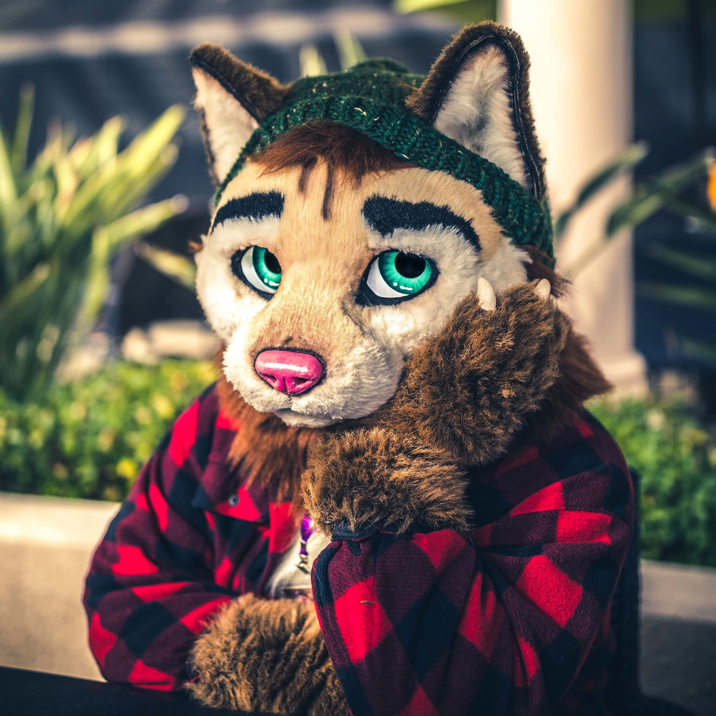 Calico