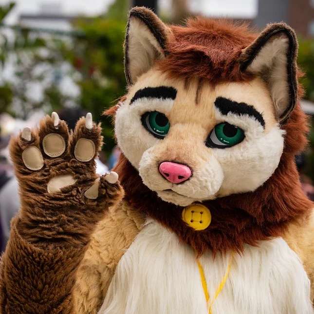 Calico