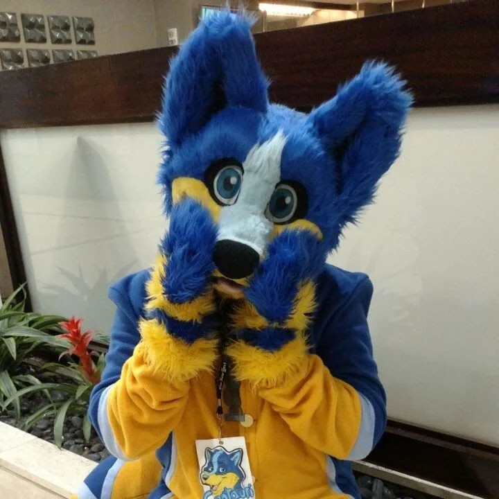 Hachi-Fox.jpg