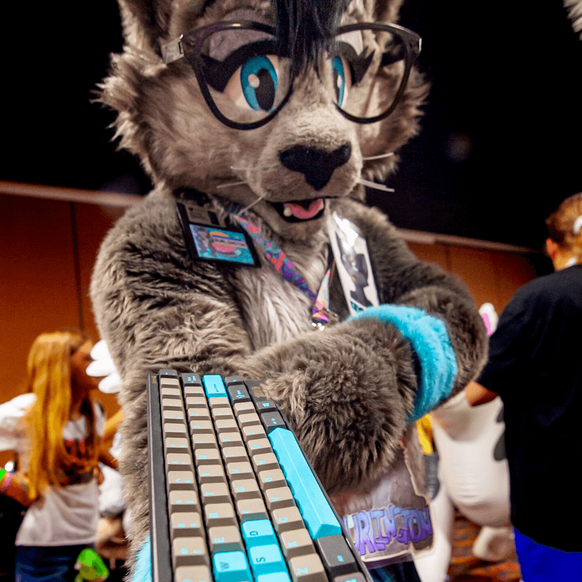 LRM_EXPORT_1189809939947857_20190809_075237173 - Burlington the Cat.png