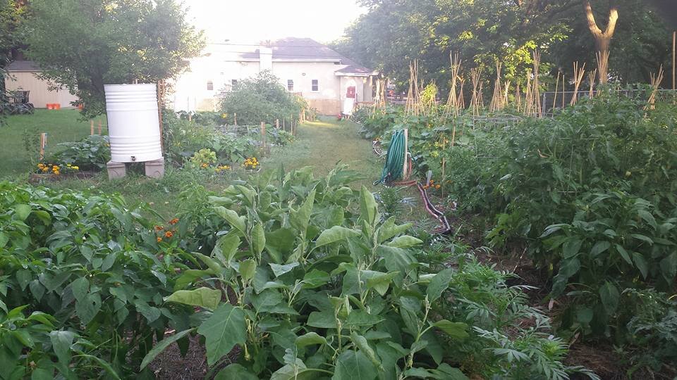  First year at the SNO Garden, 2017. 