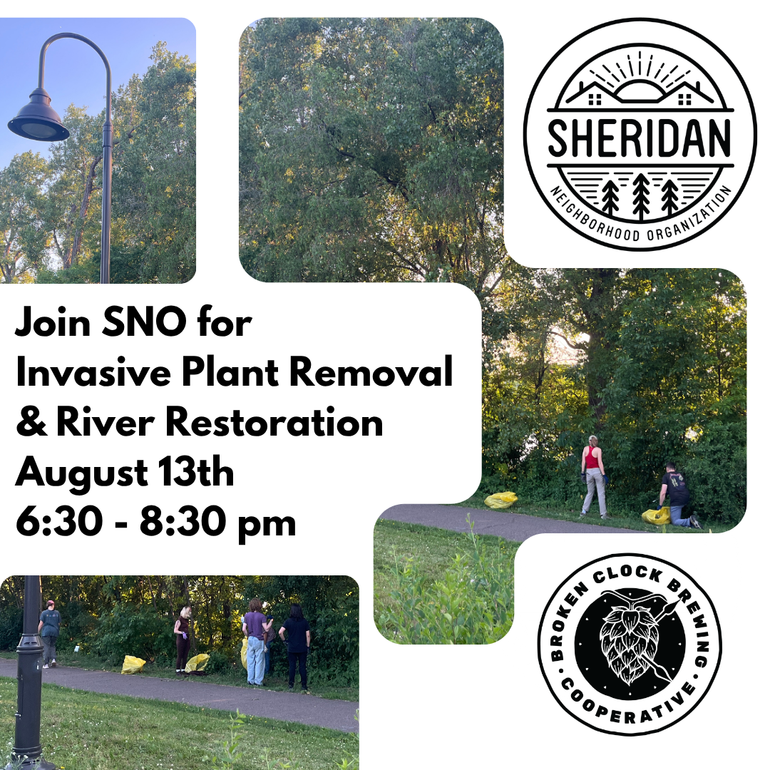 Invasive Plant Removal