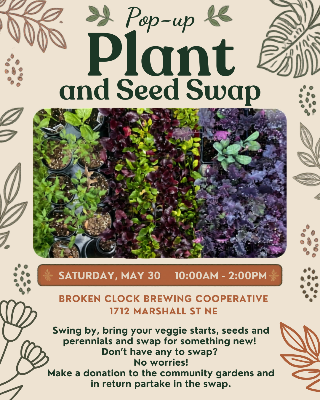 🌱✨Sheridan Neighborhood’s  Pop-up Starter Plants and Seed Swap! 🌱✨