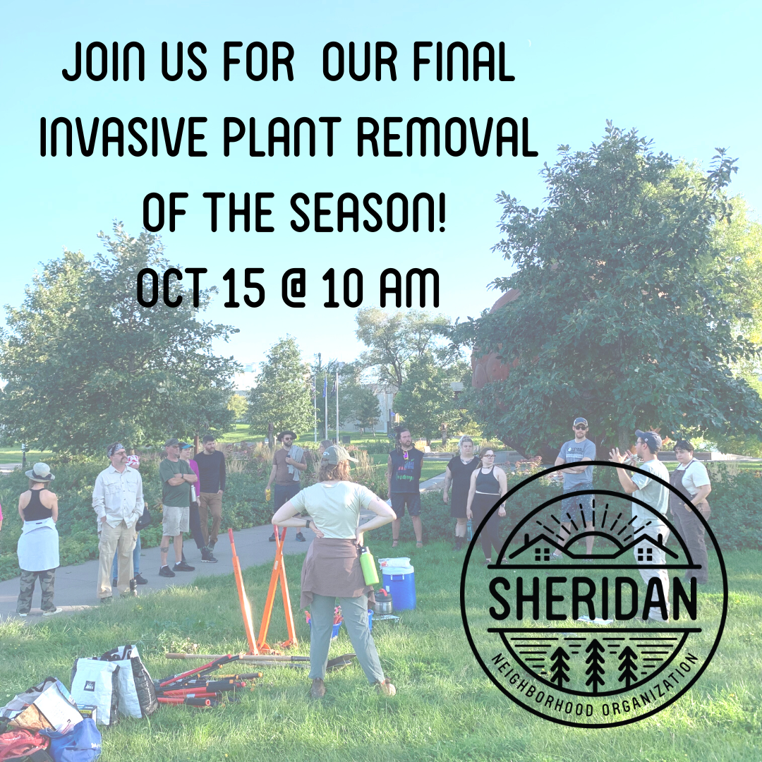 Invasive Plant Removal — Sheridan Neighborhood Organization