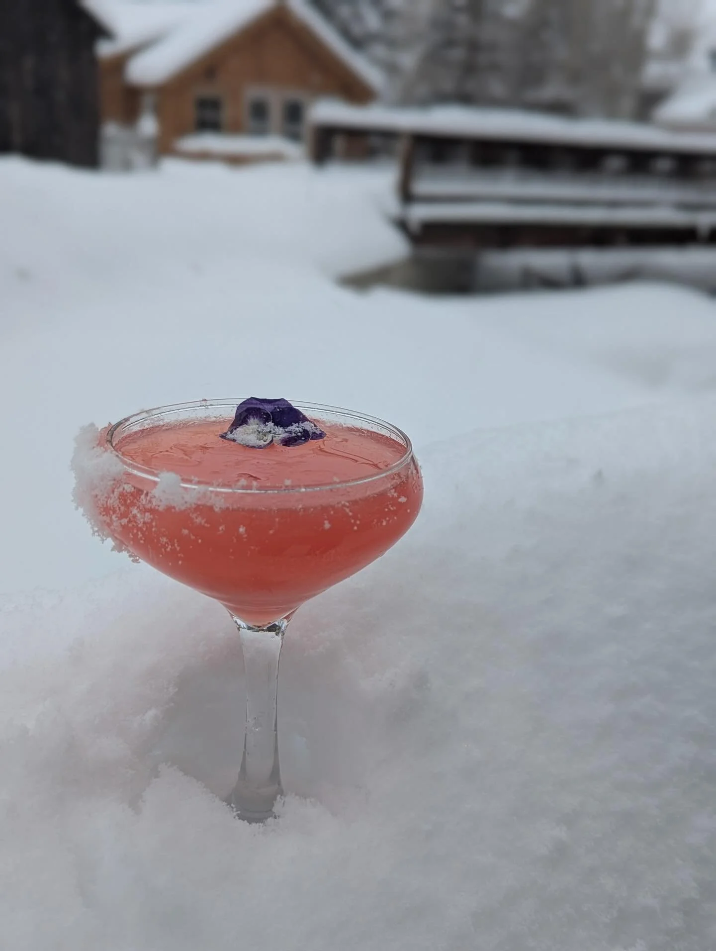 New cocktails coming your way! ❄️ 
.
&ldquo;Powder Pony&rdquo; with gin, yellow chartreuse, hibiscus, grapefruit, lemon