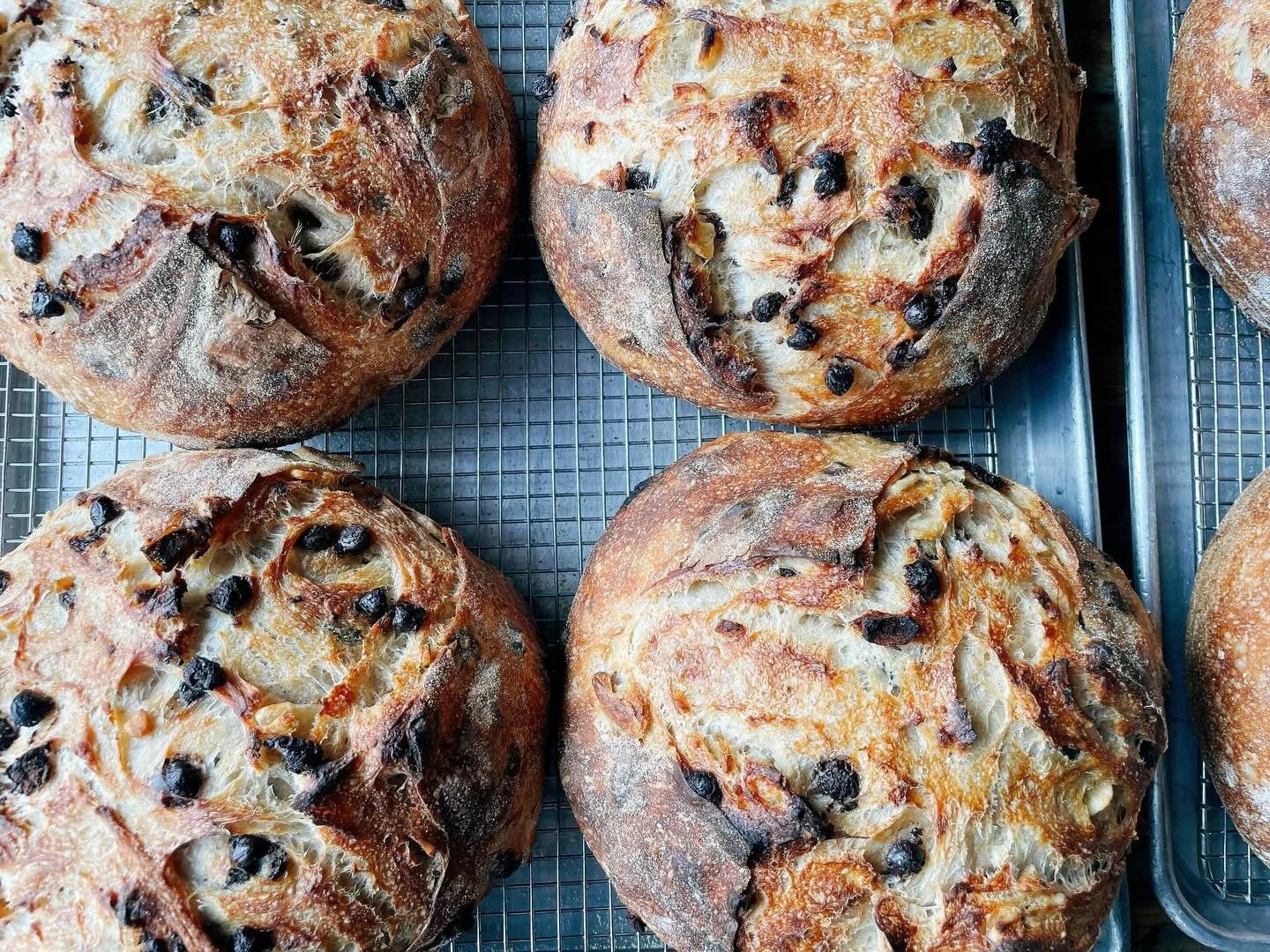 Banana and chocolate chip sourdough for our baker&rsquo;s choice loaf today! 😋 🍌 🍫 🍞
