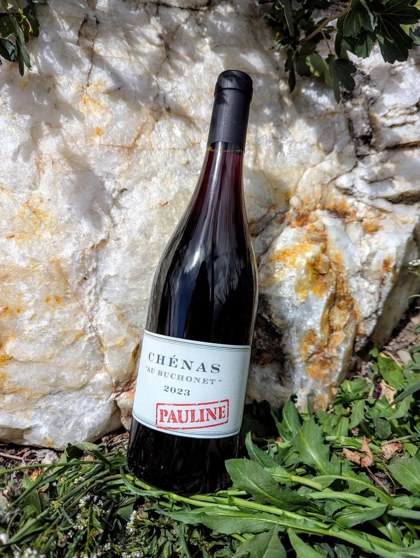 This week we&rsquo;re featuring the Yohan Lardy &ldquo;Au Buchonnet - Pauline&rdquo; Ch&eacute;nas Gamay 2023.
.
From meticulous producer Yohan Lardy, this micro cuv&eacute;e has notes of bing cherry, wild strawberry, and violets, with a mineral back