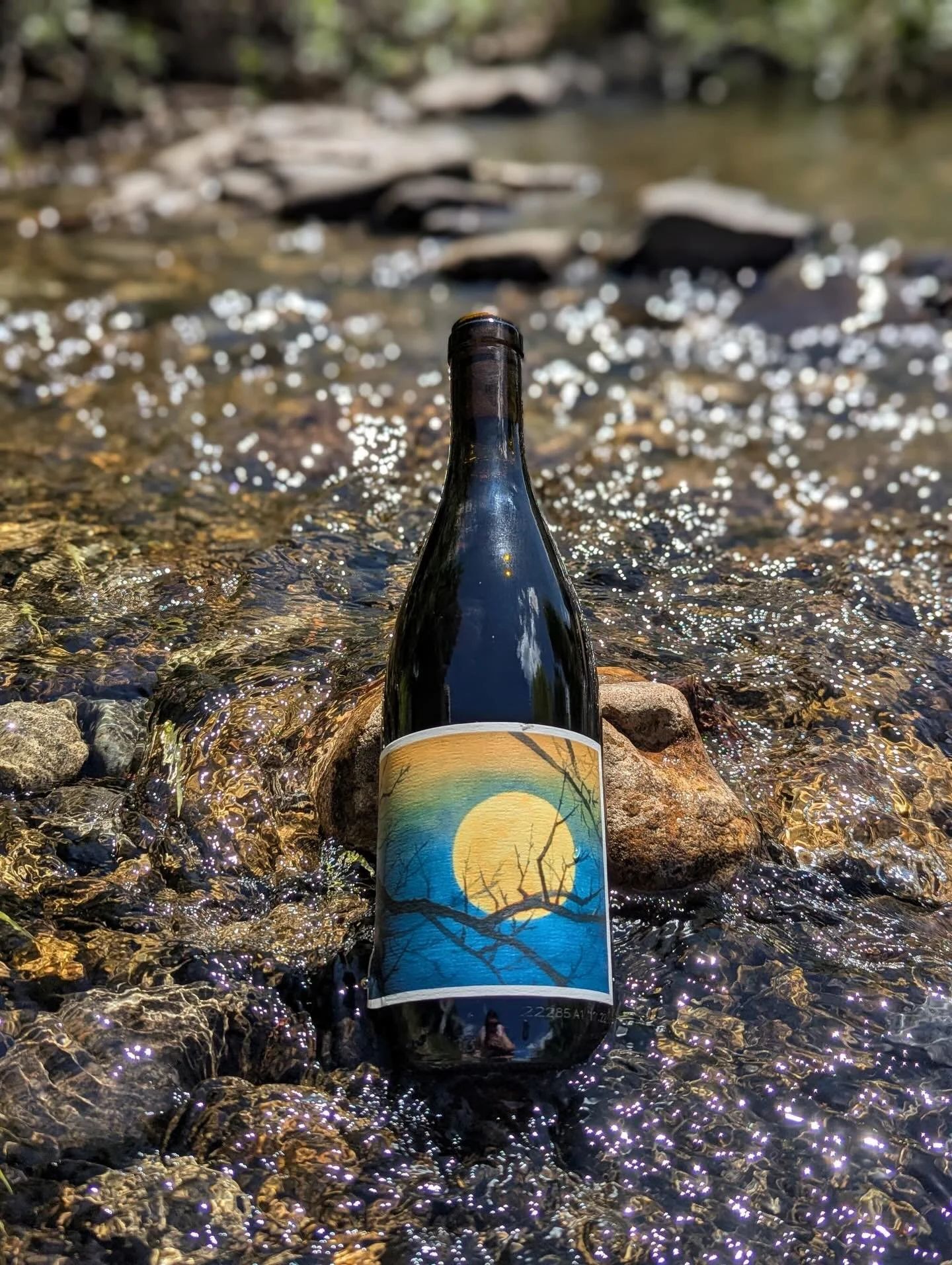 This week&rsquo;s Wine Club feature is the Johan Vineyards &ldquo;Mariafeld&rdquo; Van Duzer Corridor 2021 Pinot Noir! 👇
.
From Johan Vineyards in the Willamette Valley of Oregon, this 2021 Pinot Noir is biodynamically grown and fermented with only 