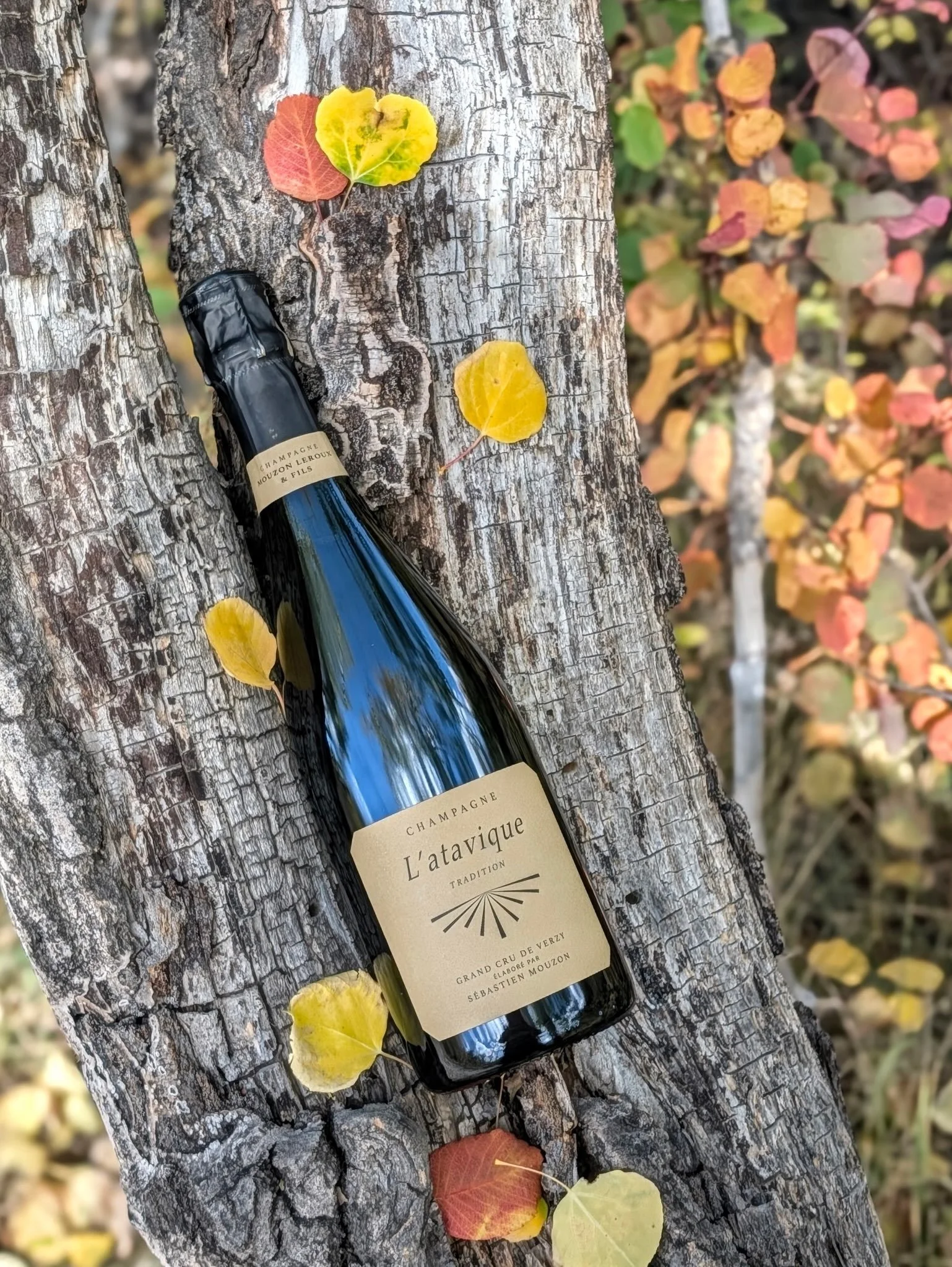 Check out this week&rsquo;s featured wine! 👇
.
Mouzon Leroux L&rsquo;atavique Extra Brut Grand Cru Champagne NV shows beautiful pale gold in the glass with fine plentiful bubbles and complex notes of Bosc pear, toasted brioche, and hazelnut. It&rsqu