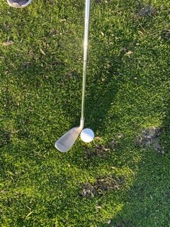 Shank4.jpg