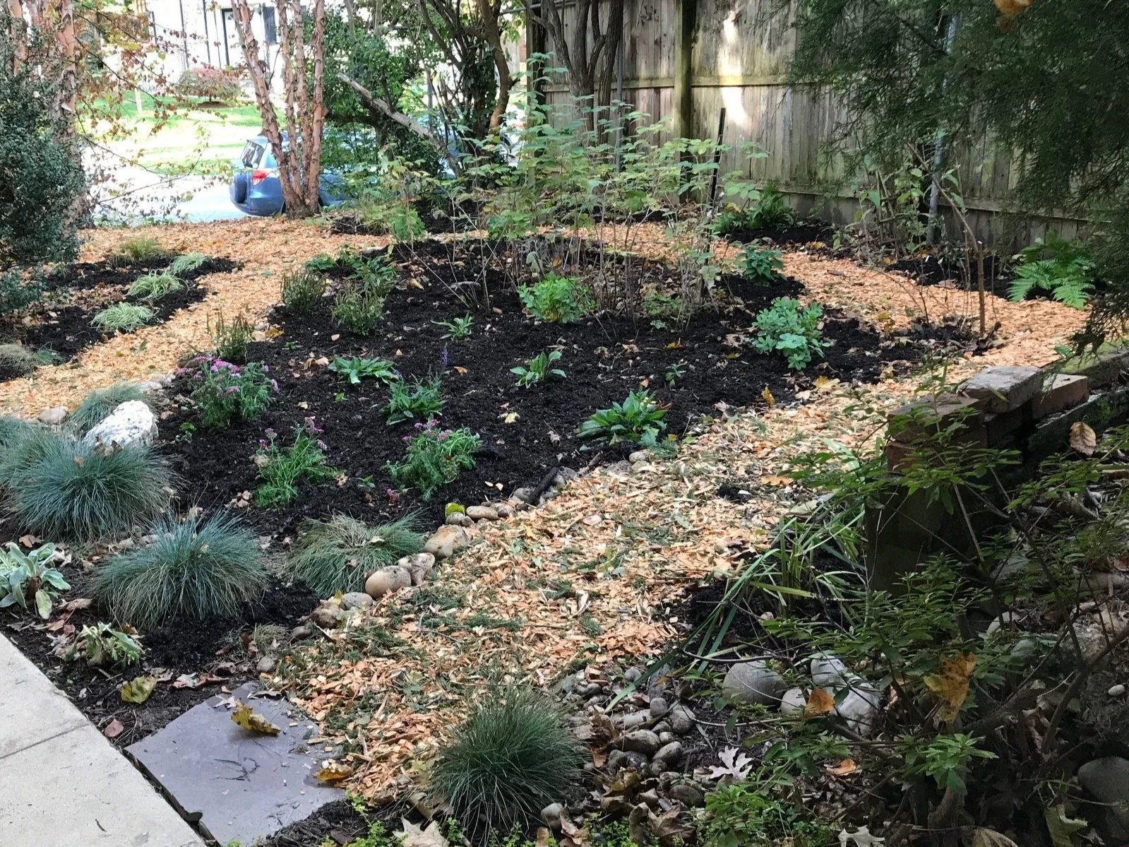  New paths and plantings. 