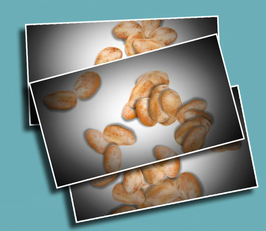 extremepotatocounting.jpg