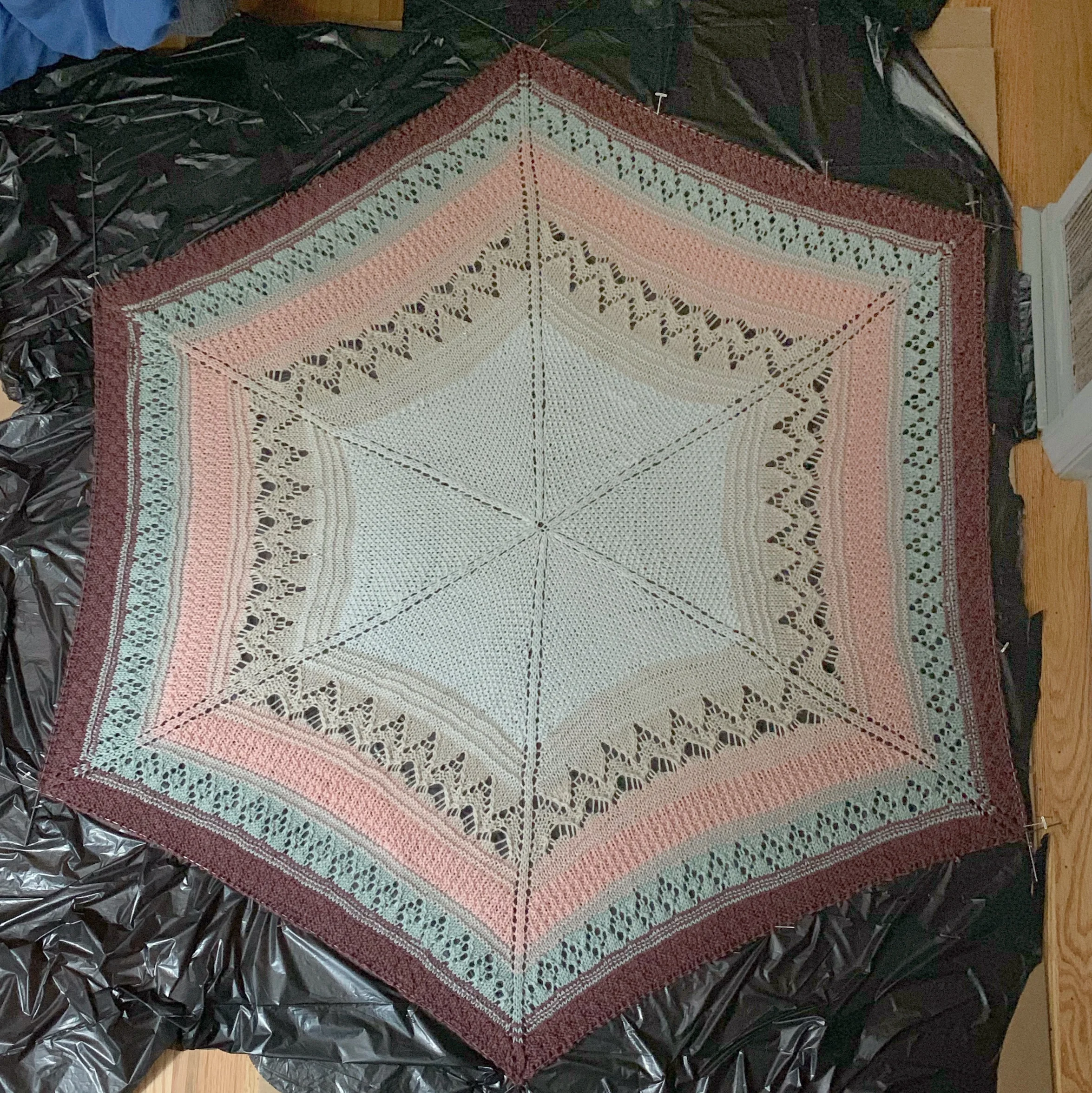 Finally finished the blanket! (Daily Update: 2/9/19)