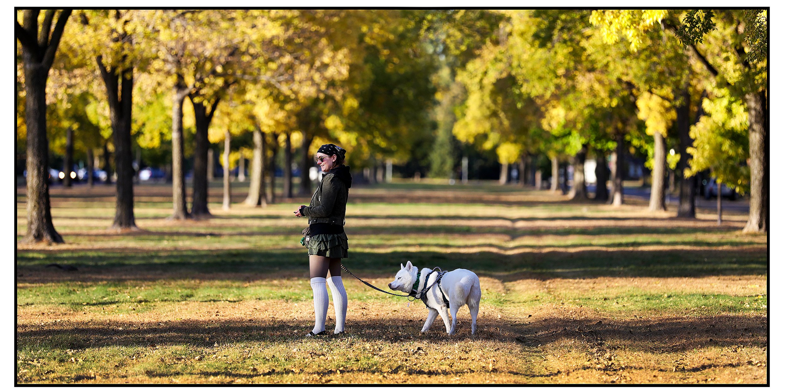 Parkway Oct 14 2024.jpg