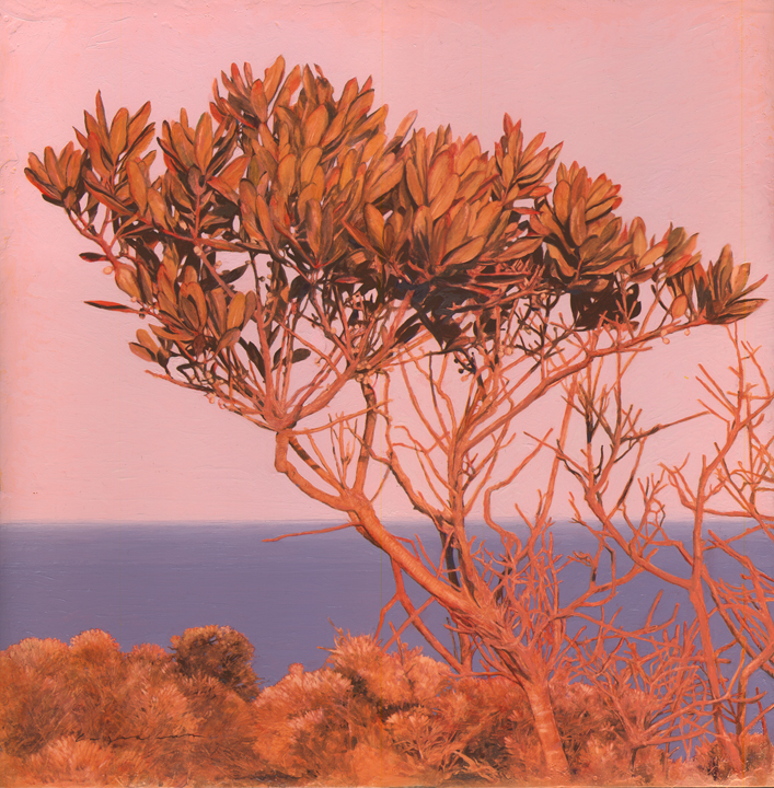Block Island Bay Laurel - Oil on Panel 18 x 18