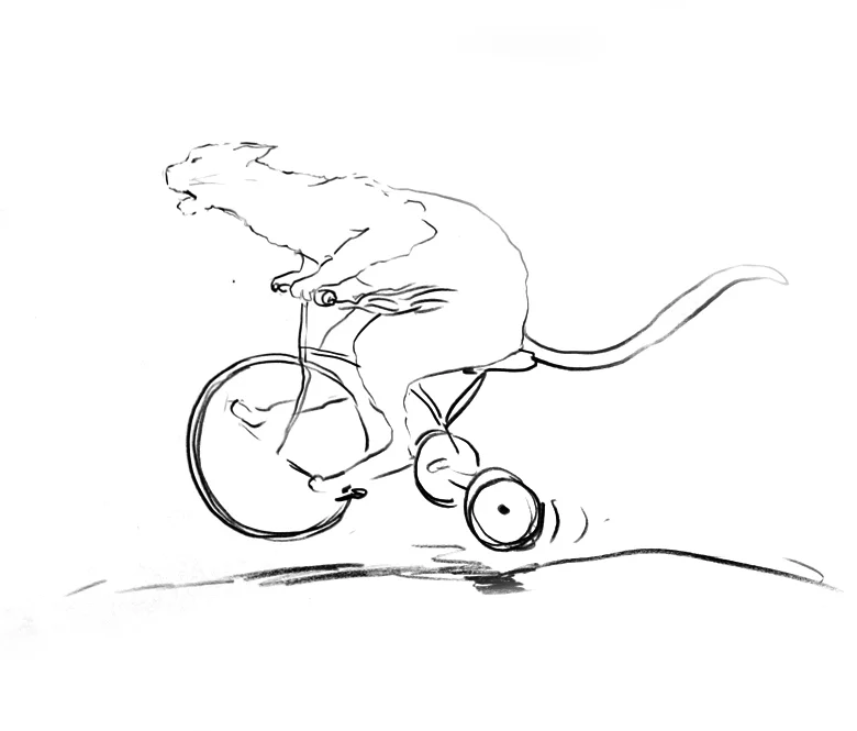 Cat-Tricycle.jpg