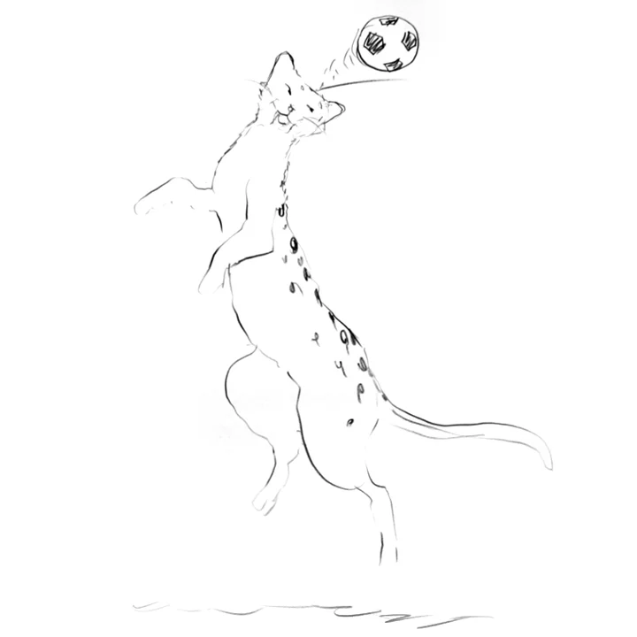Leopard-Soccer.jpg