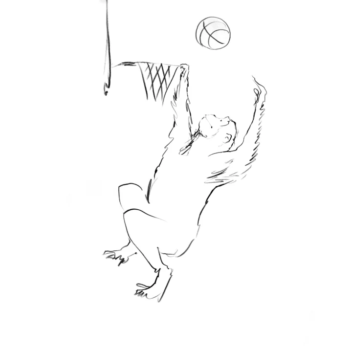 Orangutan-Basketball.jpg