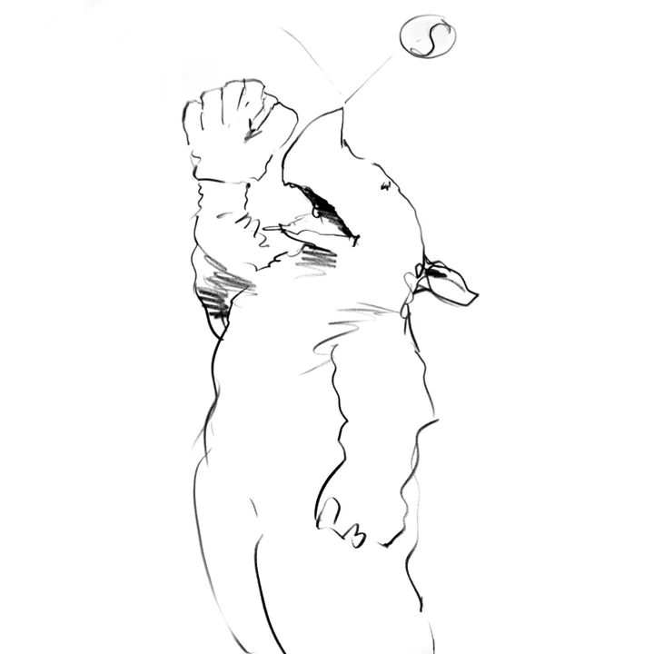 Rhino-Baseball.jpg