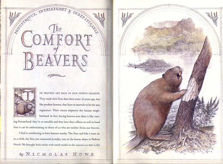 Here the early drafting style of rendering for Yankee Magazine. It makes beaver’s look clever and quaint.